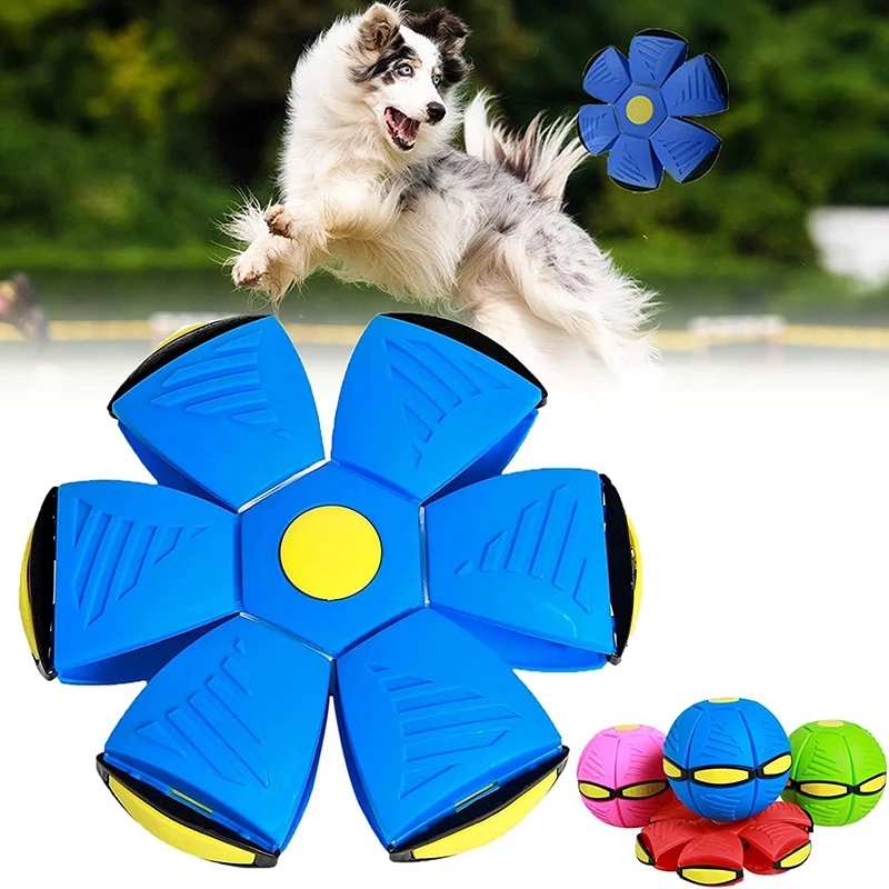 Dog Toys Magic Funny