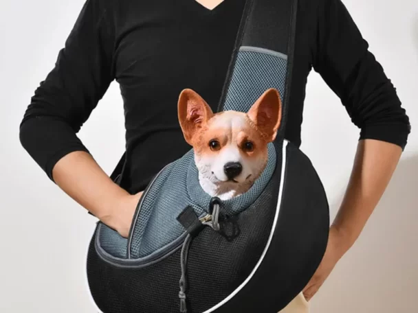Pet carrying Bag Go out Small and medium-sized . Cat and dog travel bag Breathable
