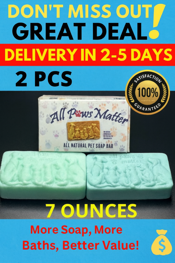 untitled design (12)