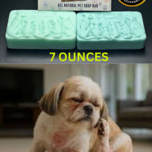 ALL PAWS SOAP BAR